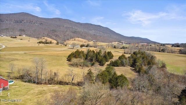 property view of mountains with a rural view