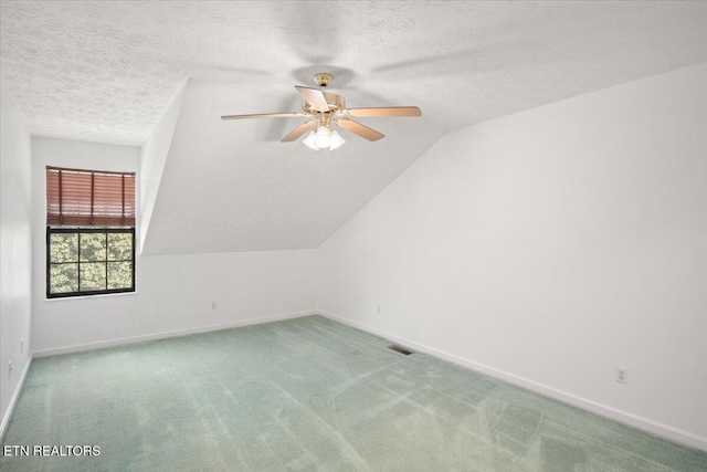 additional living space featuring lofted ceiling, carpet, a textured ceiling, and baseboards