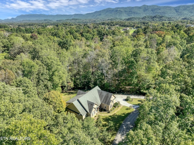 birds eye view of property with a forest view and a mountain view