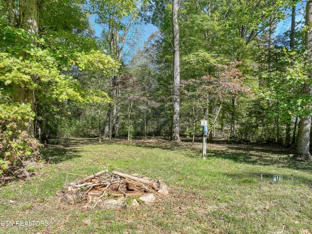 view of yard featuring a view of trees