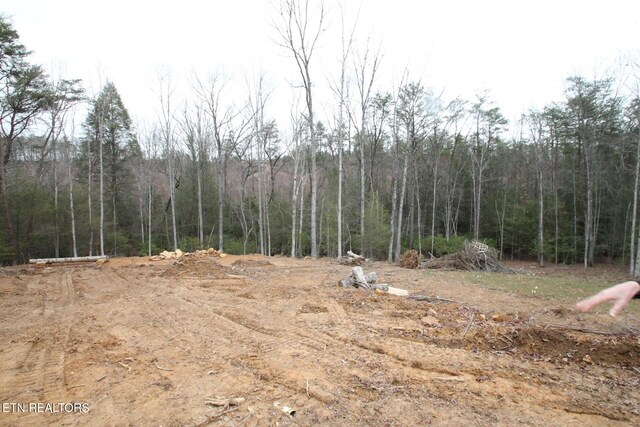 1707 Russell Ridge Rd, Crossville, TN 38555 - photo 9