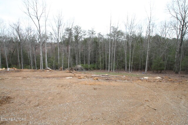 1707 Russell Ridge Rd, Crossville, TN 38555 - photo 10