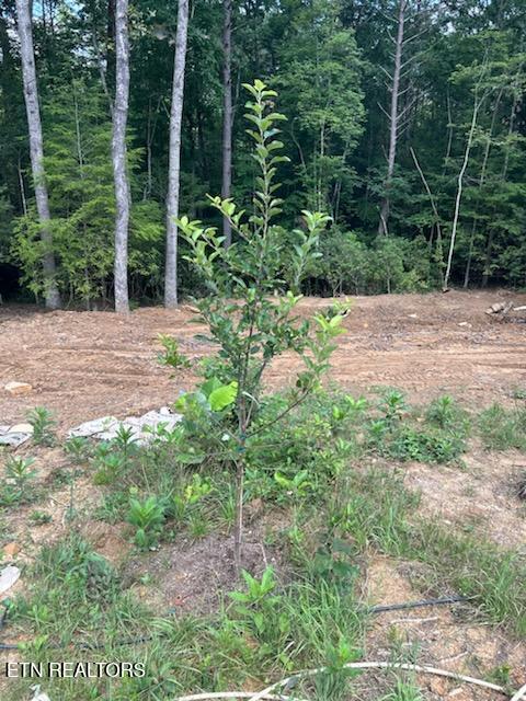 1707 Russell Ridge Rd, Crossville, TN 38555 - photo 11
