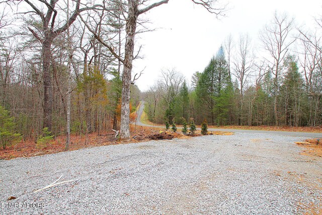 1707 Russell Ridge Rd, Crossville, TN 38555 - photo 12