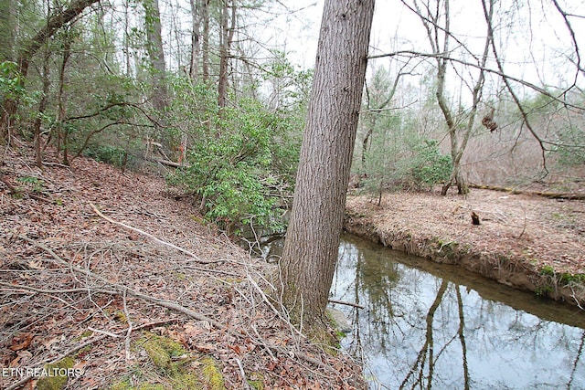 1707 Russell Ridge Rd, Crossville, TN 38555 - photo 5