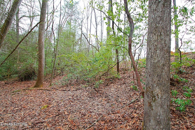 1707 Russell Ridge Rd, Crossville, TN 38555 - photo 8