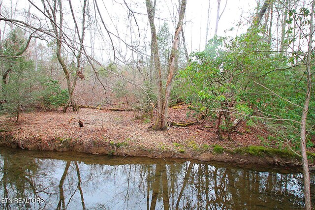 1707 Russell Ridge Rd, Crossville, TN 38555 - photo 4