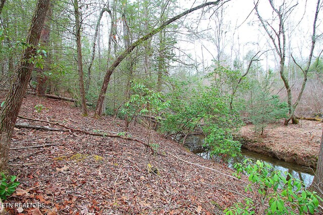 1707 Russell Ridge Rd, Crossville, TN 38555 - photo 15