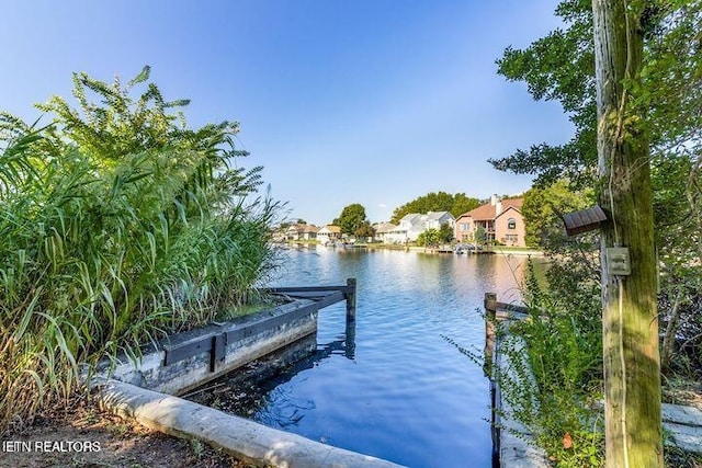 dock area with a water view