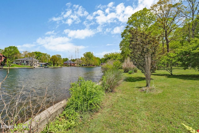 2024 Cravens Dr, Crossville, TN 38572 - water view