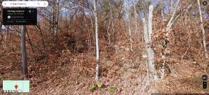 Ridgeheights Dr, Gray, TN 37615 - photo 4
