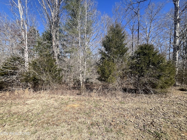 209 Appaloosa Trl, Rockwood TN, 37854 land for sale