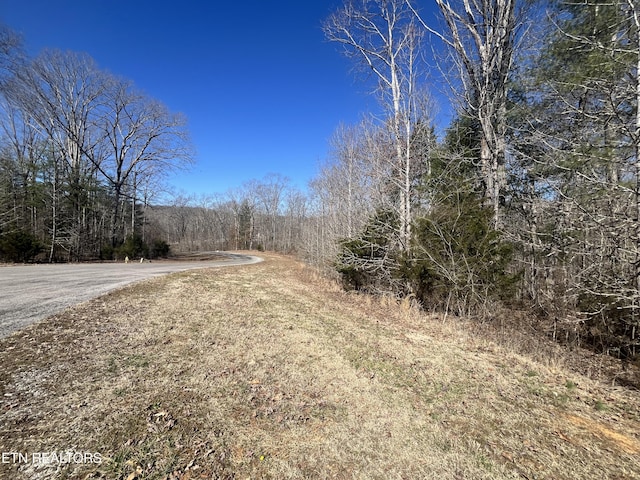 Listing photo 3 for 209 Appaloosa Trl, Rockwood TN 37854