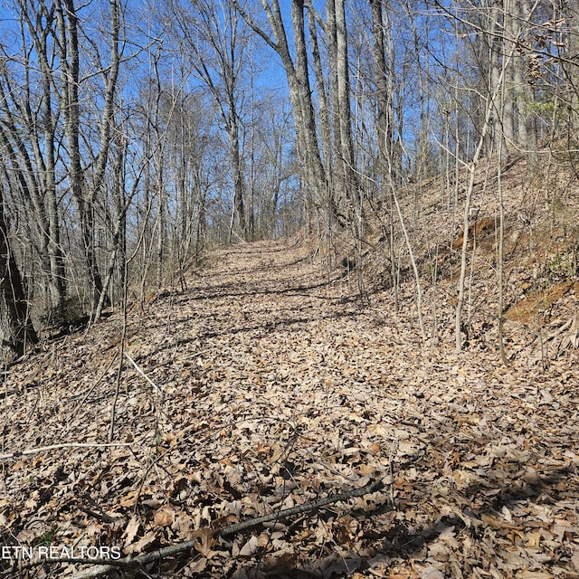 0 Lick Creek Rd, Tellico Plains, TN 37385