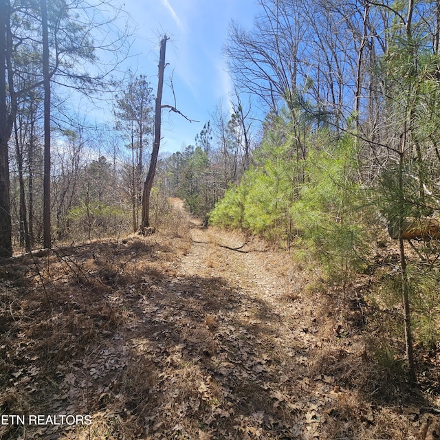 Listing photo 3 for 0 Lick Creek Rd, Tellico Plains TN 37385