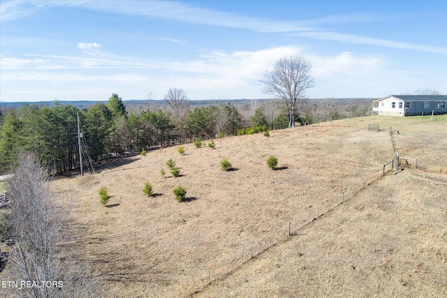 view of yard featuring a rural view