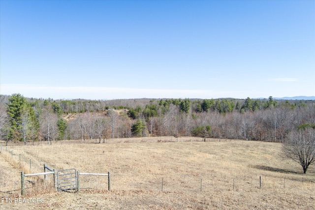 view of local wilderness featuring a rural view