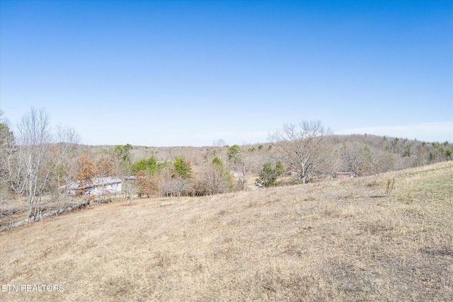 view of local wilderness featuring a rural view