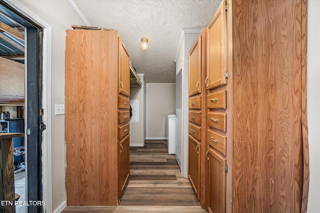 spacious closet featuring wood finished floors