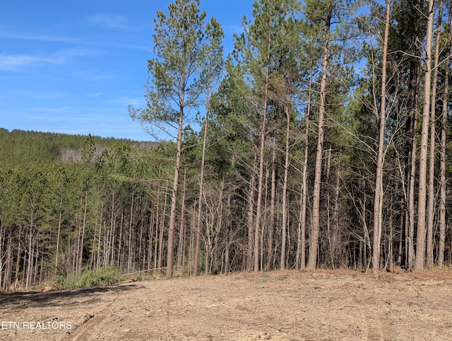 view of local wilderness featuring a wooded view