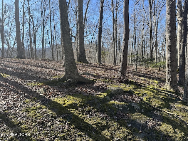 Listing photo 3 for TBD Ridge Road, Baxter KY 40806