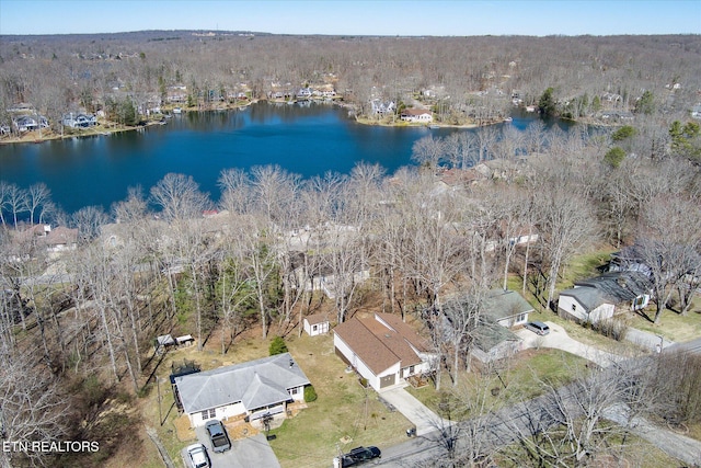 aerial view with a water view and a view of trees