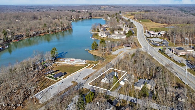 aerial view with a water view and a view of trees