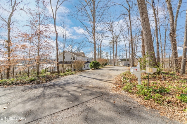 view of street featuring driveway