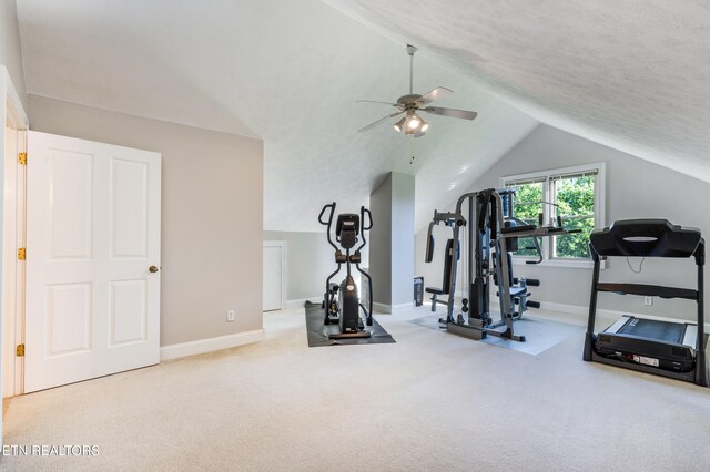 322 River Ford Rd, Maryville, TN 37804 - photo 39