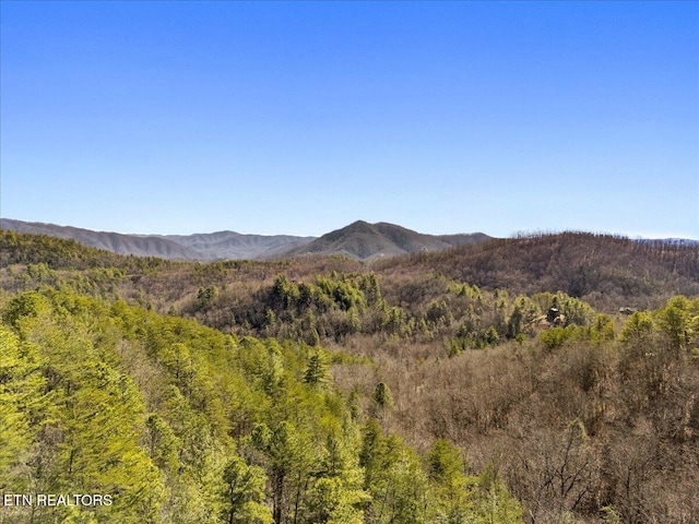 view of mountain feature with a view of trees