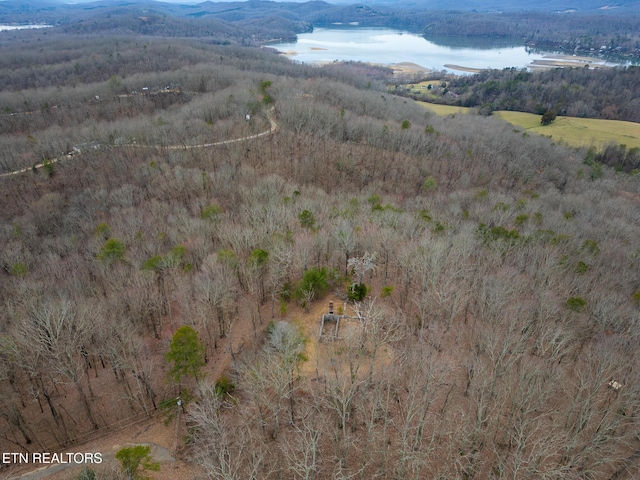 Listing photo 3 for 290 Mary Brown Ln, Rockwood TN 37854