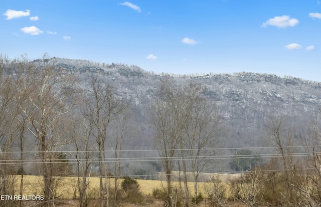 view of mountain feature featuring a wooded view