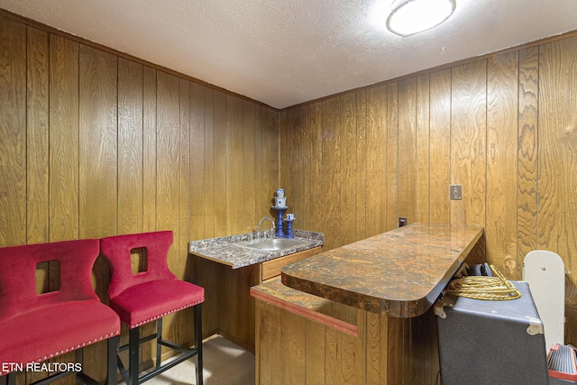 bar with wood walls, a sink, and bar area