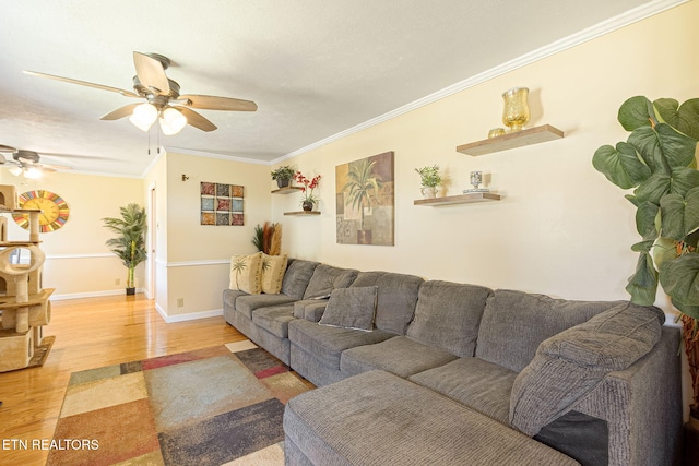 living room with ornamental molding, a ceiling fan, and light wood-style floors