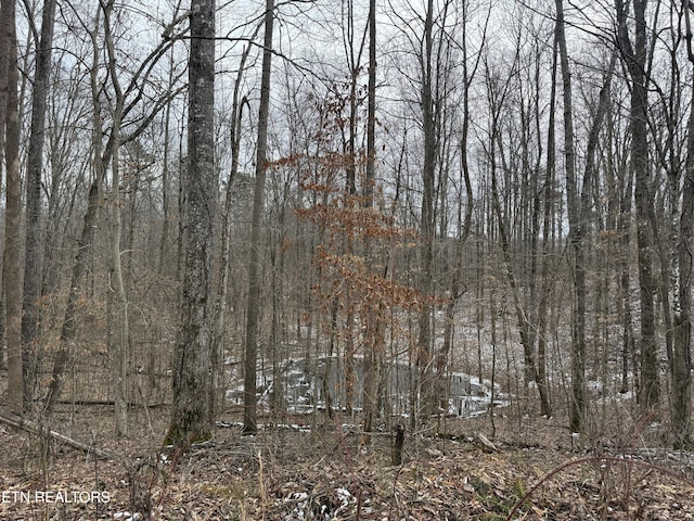 Jones Ridge Rd, Speedwell TN, 37870 land for sale