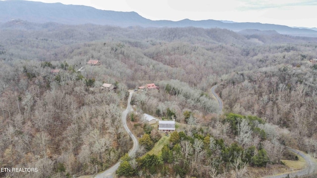 birds eye view of property featuring a forest view and a mountain view