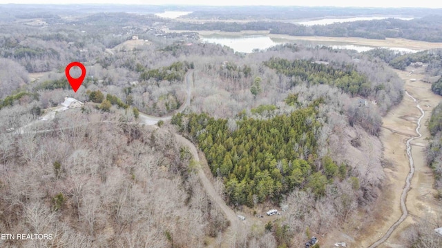 bird's eye view with a water view and a wooded view