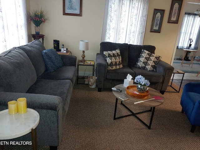 view of carpeted living area