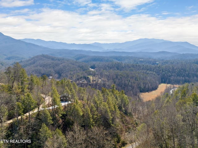 view of mountain feature featuring a view of trees