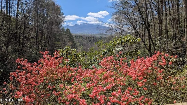 mountain view featuring a wooded view