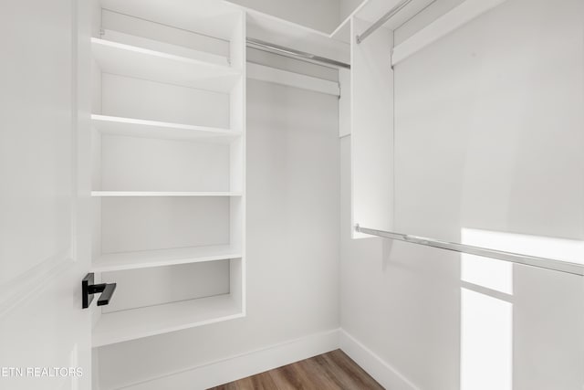 spacious closet featuring wood finished floors