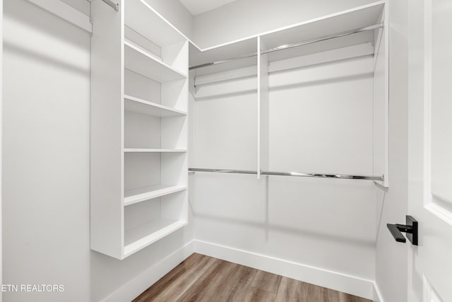 walk in closet featuring wood finished floors