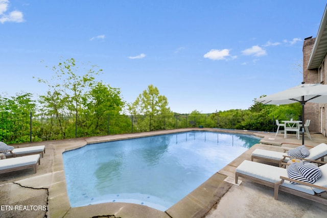 view of pool with a patio and a fenced in pool