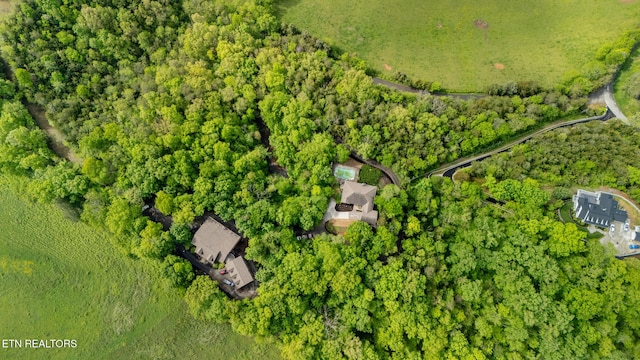 bird's eye view