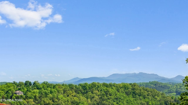 mountain view featuring a view of trees