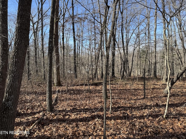 Sycamore Bnd, Monterey TN, 38574 land for sale