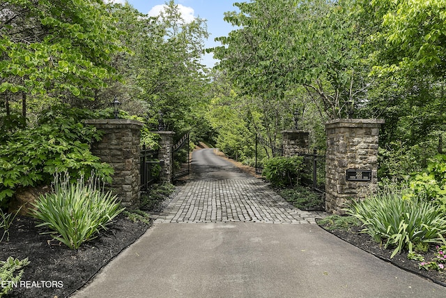 view of street with a gate, a gated entry, and aphalt driveway