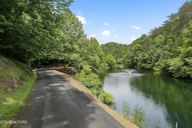 view of water feature featuring a wooded view