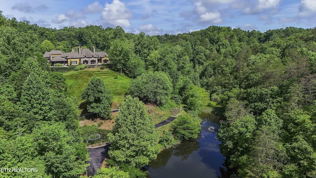 bird's eye view with a forest view