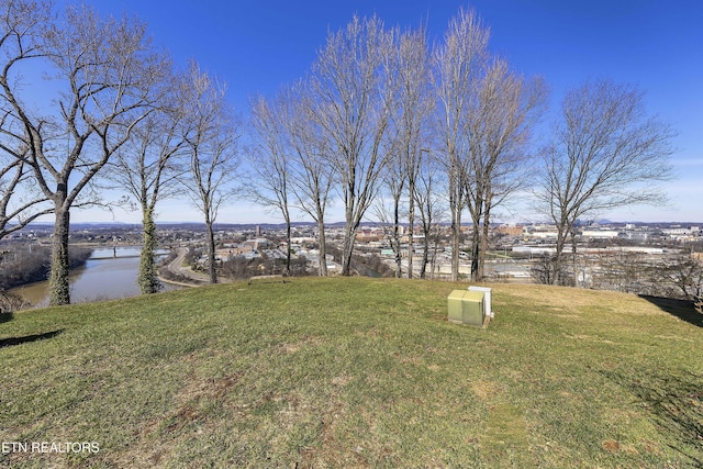 view of yard with a water view